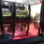 11255844_653489168118738_7932892225379604189_o